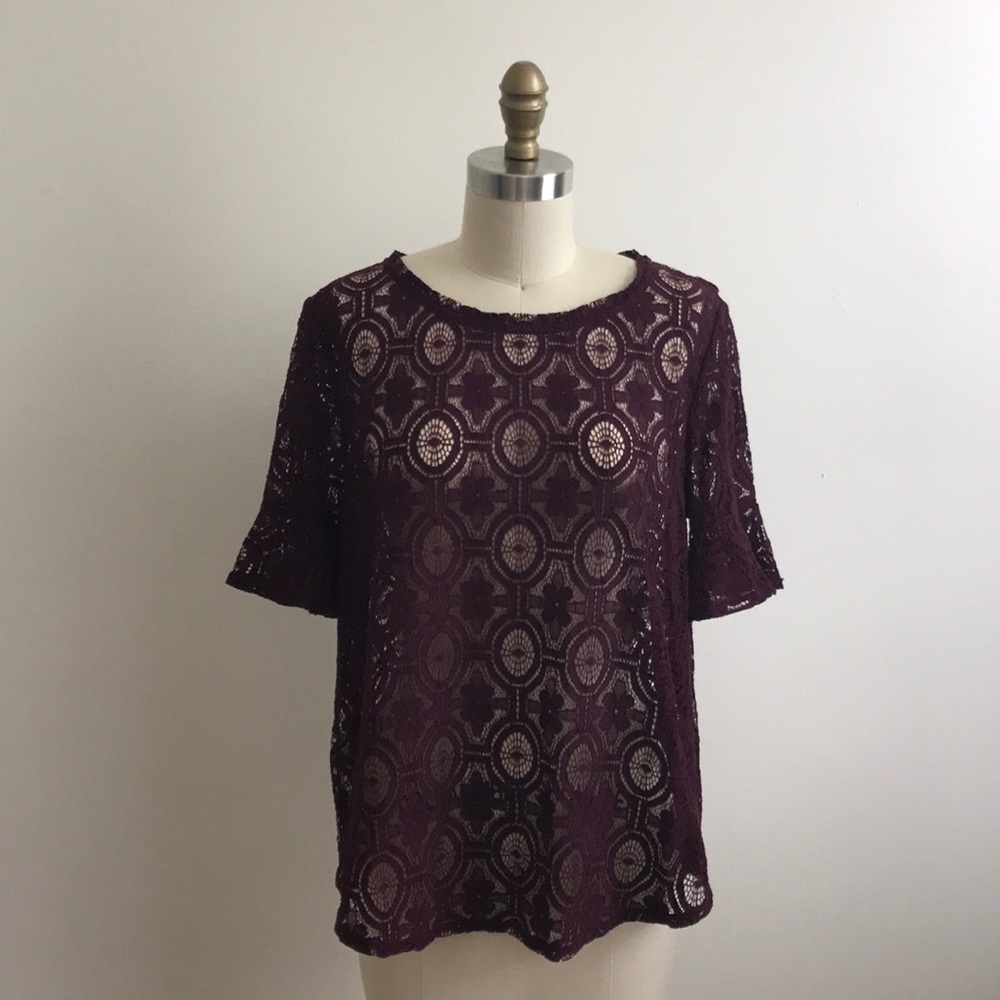 Loft Deep Purple Lace Bell Sleeved Top